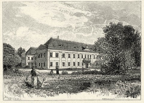 A nagykárolyi kastély egy 19. századi metszeten